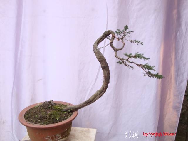 DSC04003.JPG