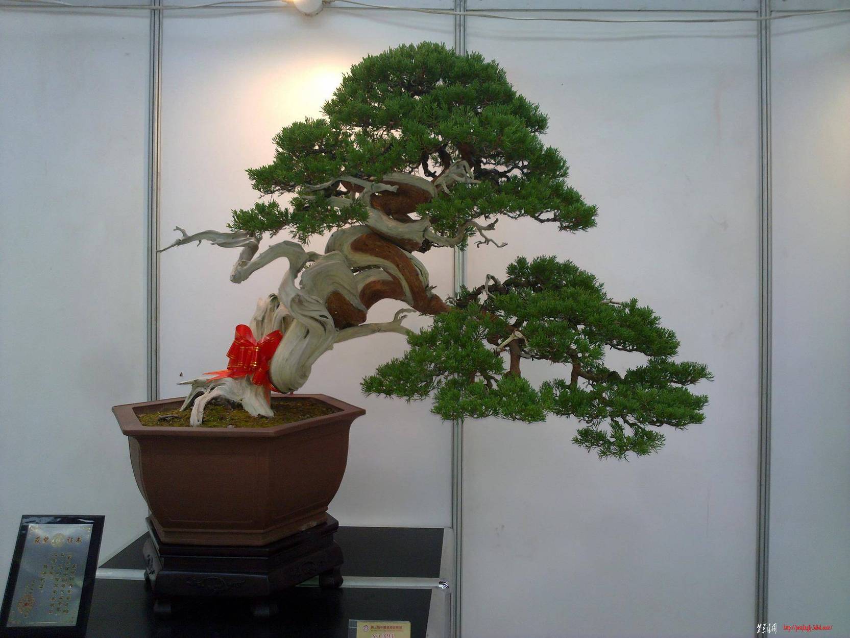 20101001251.jpg