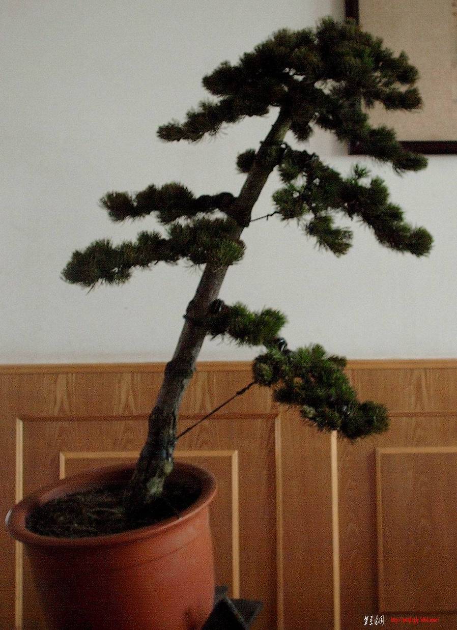 IMA (5).jpg