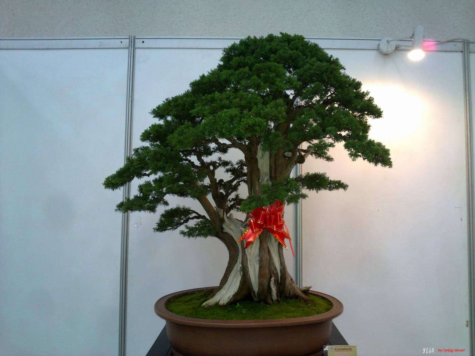 20101001256.jpg