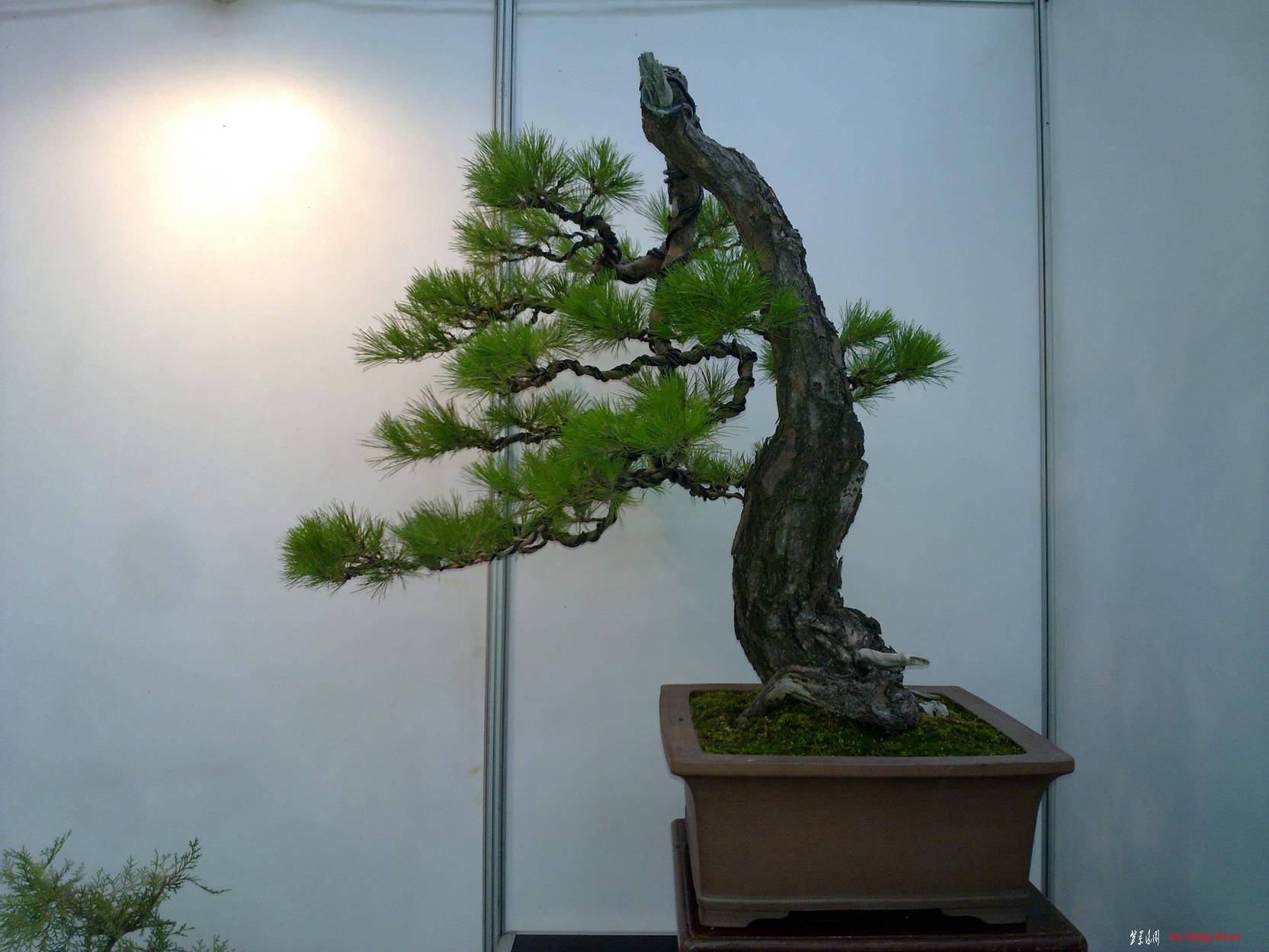 20101001258.jpg