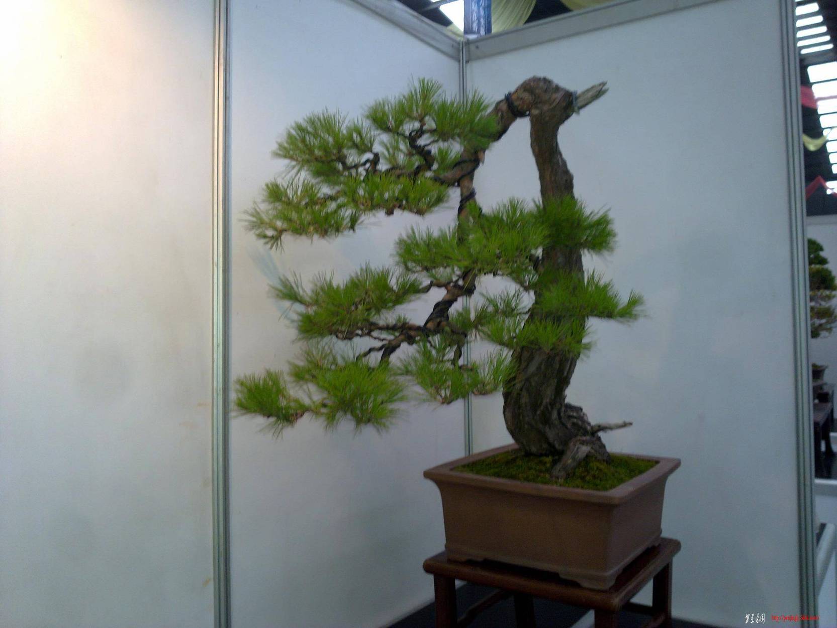20101001259.jpg