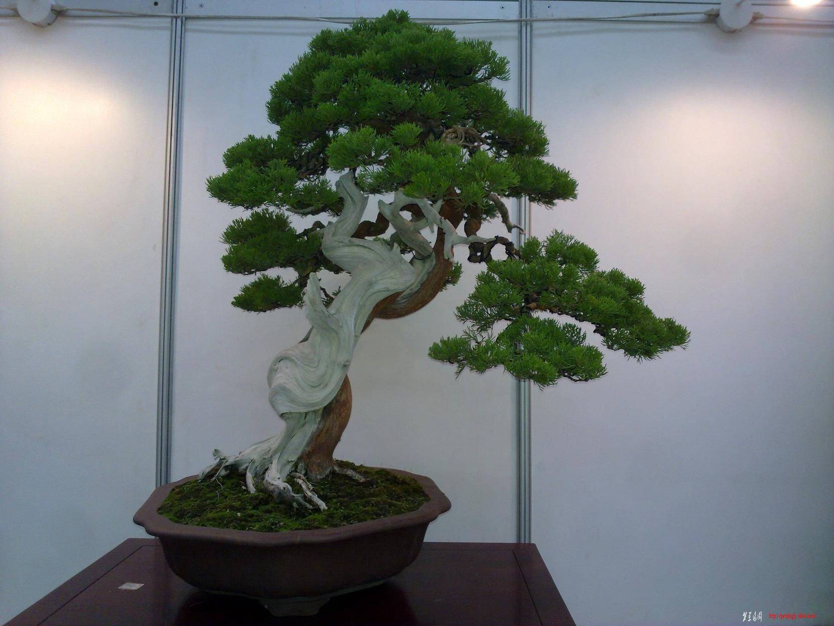 20101001261.jpg