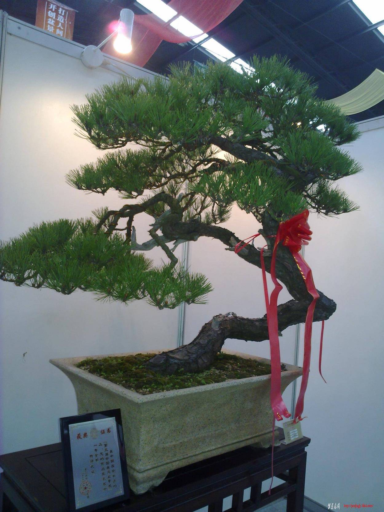 20101001263.jpg