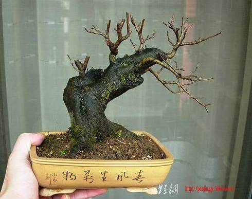 DSCN4562.JPG