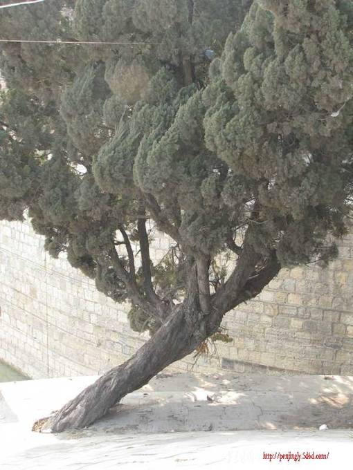 Ƭ 038_.jpg