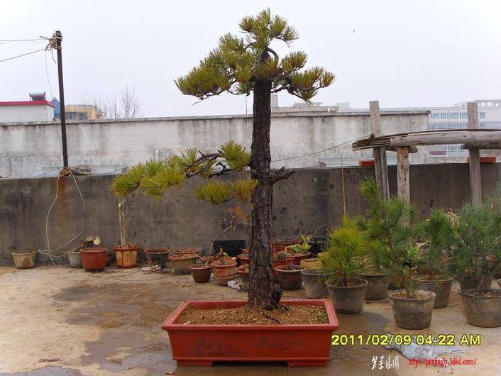 SDC10812.JPG