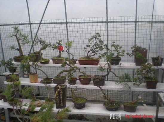 201135С԰Ƭ 015.jpg