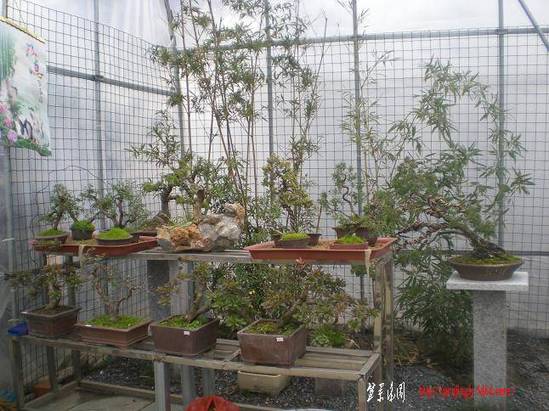 201135С԰Ƭ 016.jpg