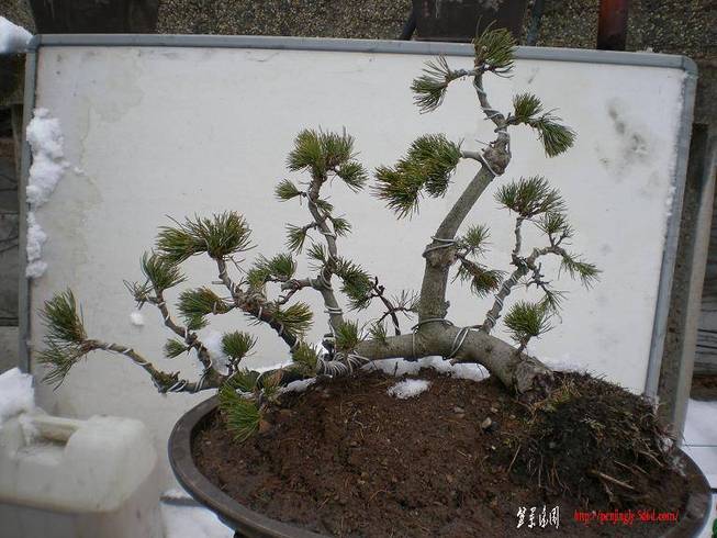 ,5.3CM, 027.jpg