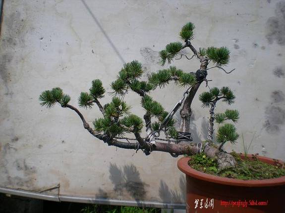 200997辰 079.jpg