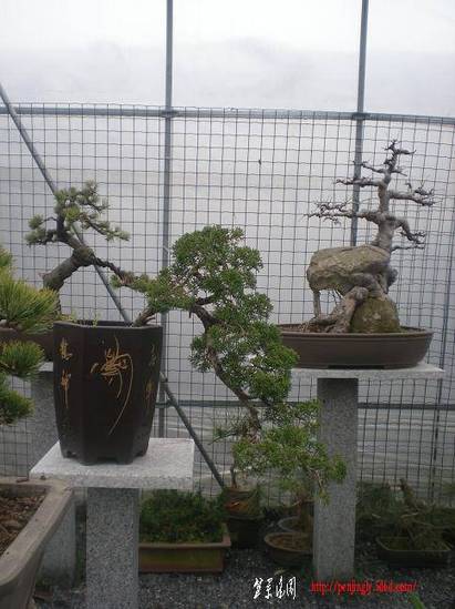 201135С԰Ƭ 017.jpg