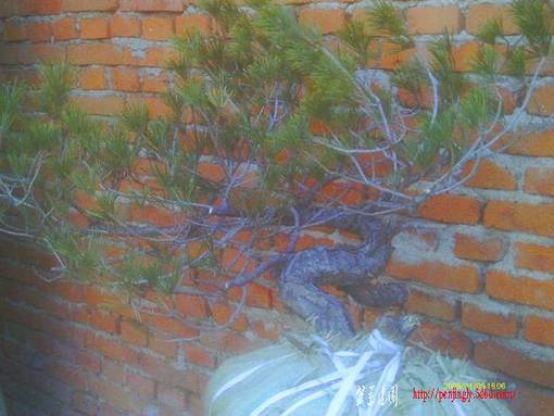 IMAG0016.JPG