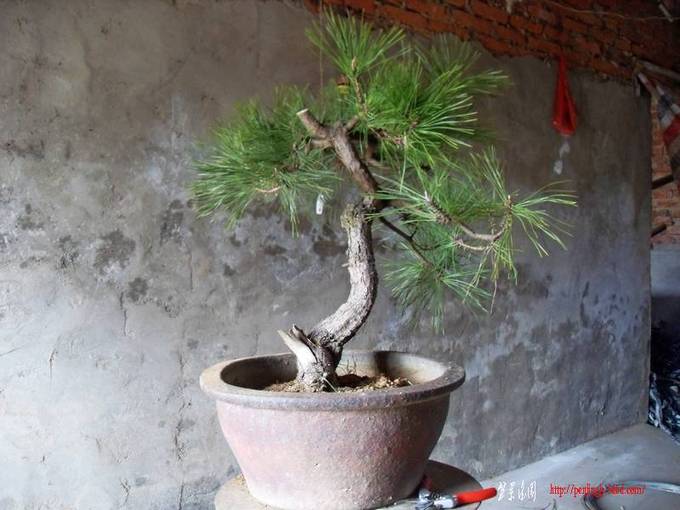 SDC14474.jpg