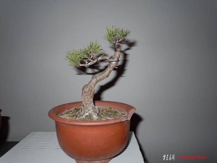 DSCN1022.jpg