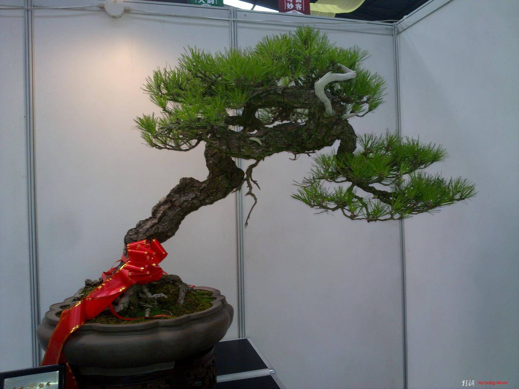 20101001266.jpg