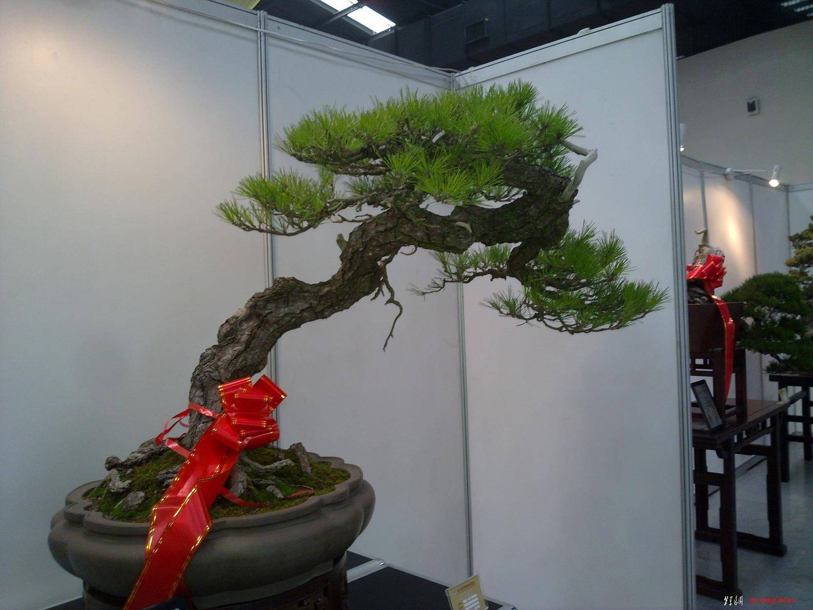 20101001267.jpg