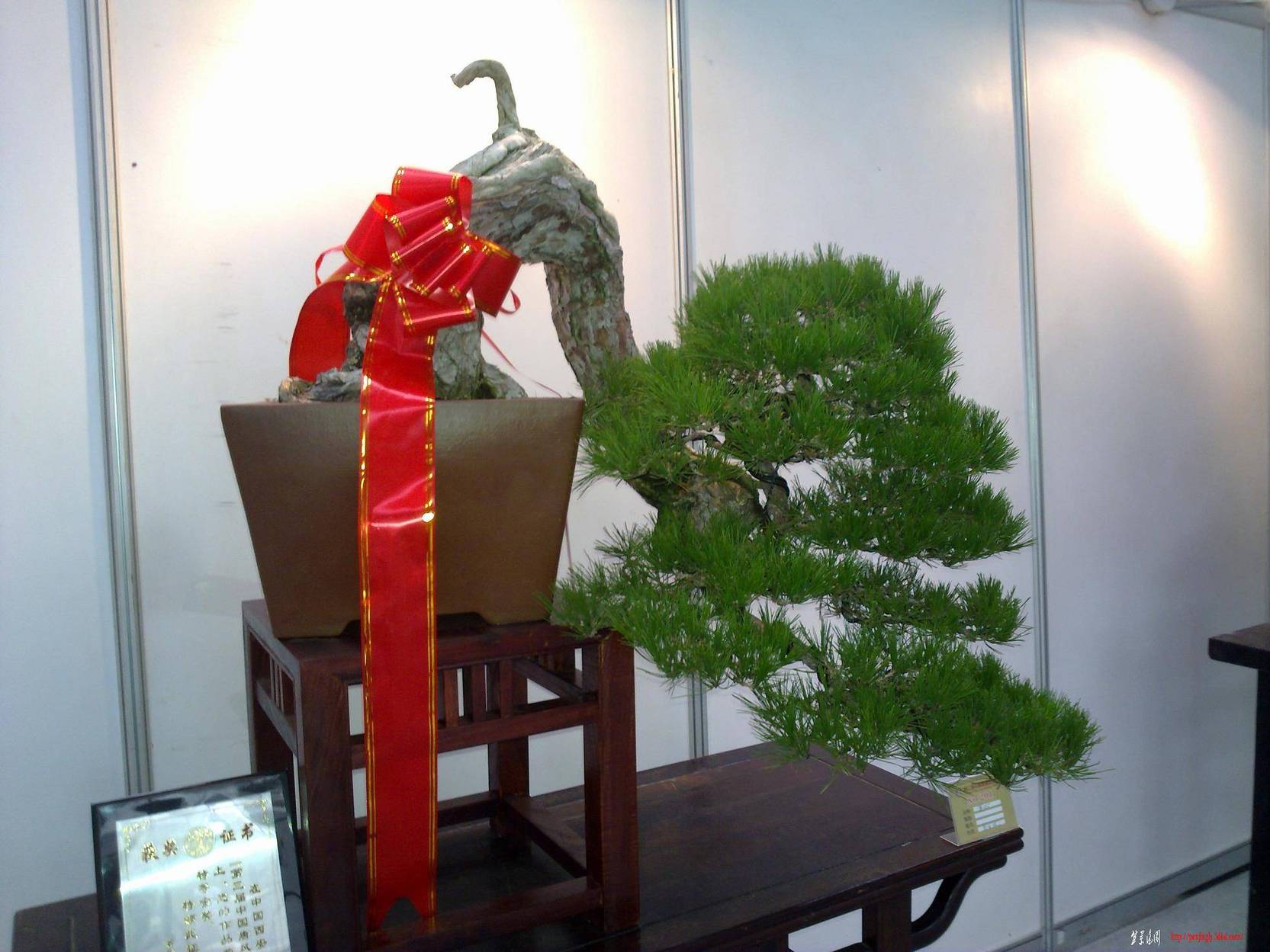 20101001268.jpg