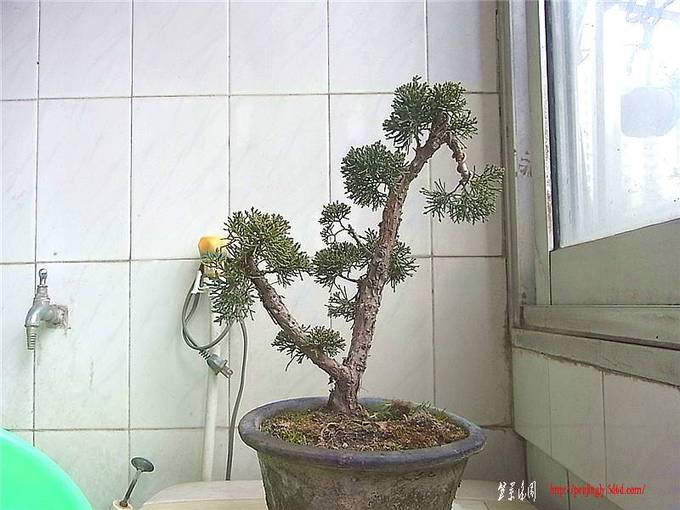 RIMG0991_.jpg