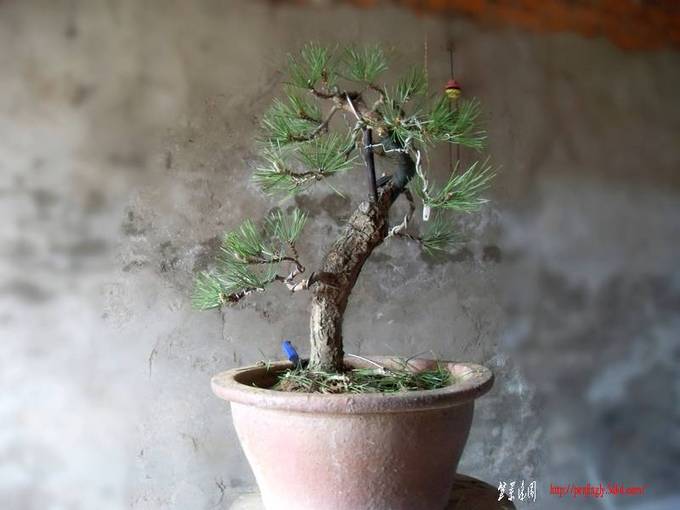 SDC14530.jpg