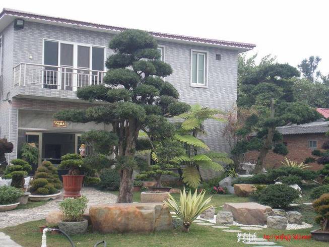 SANY1039.JPG