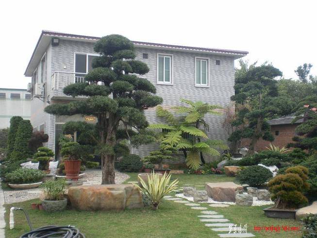 SANY1112.JPG