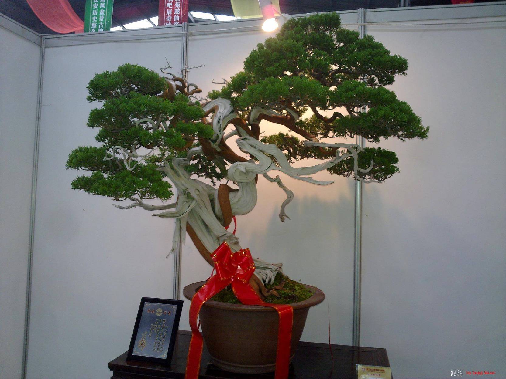 20101001270.jpg
