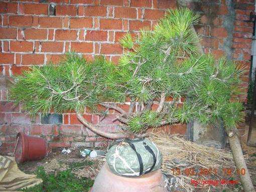 DSCN4253.JPG