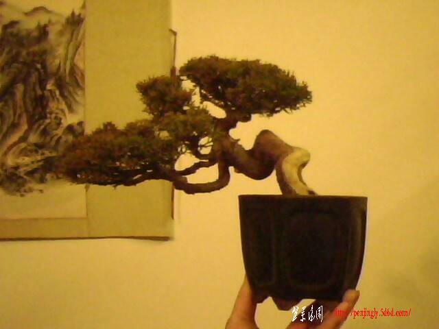 201119.jpg