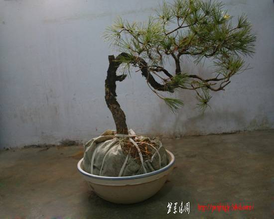 照片 575.jpg