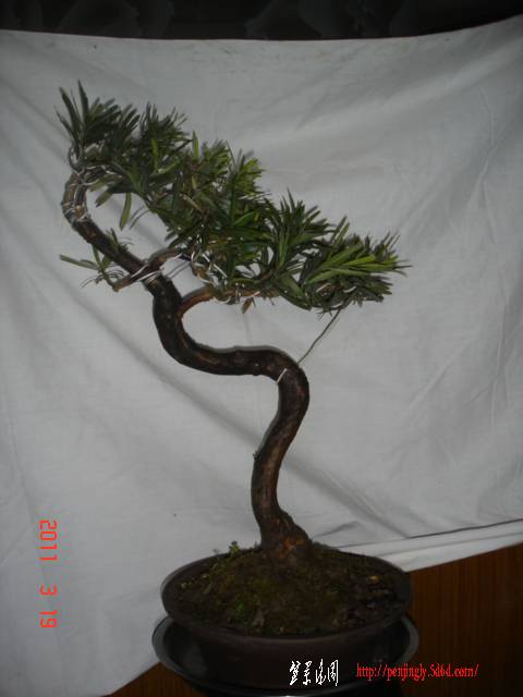 DSC01213.JPG