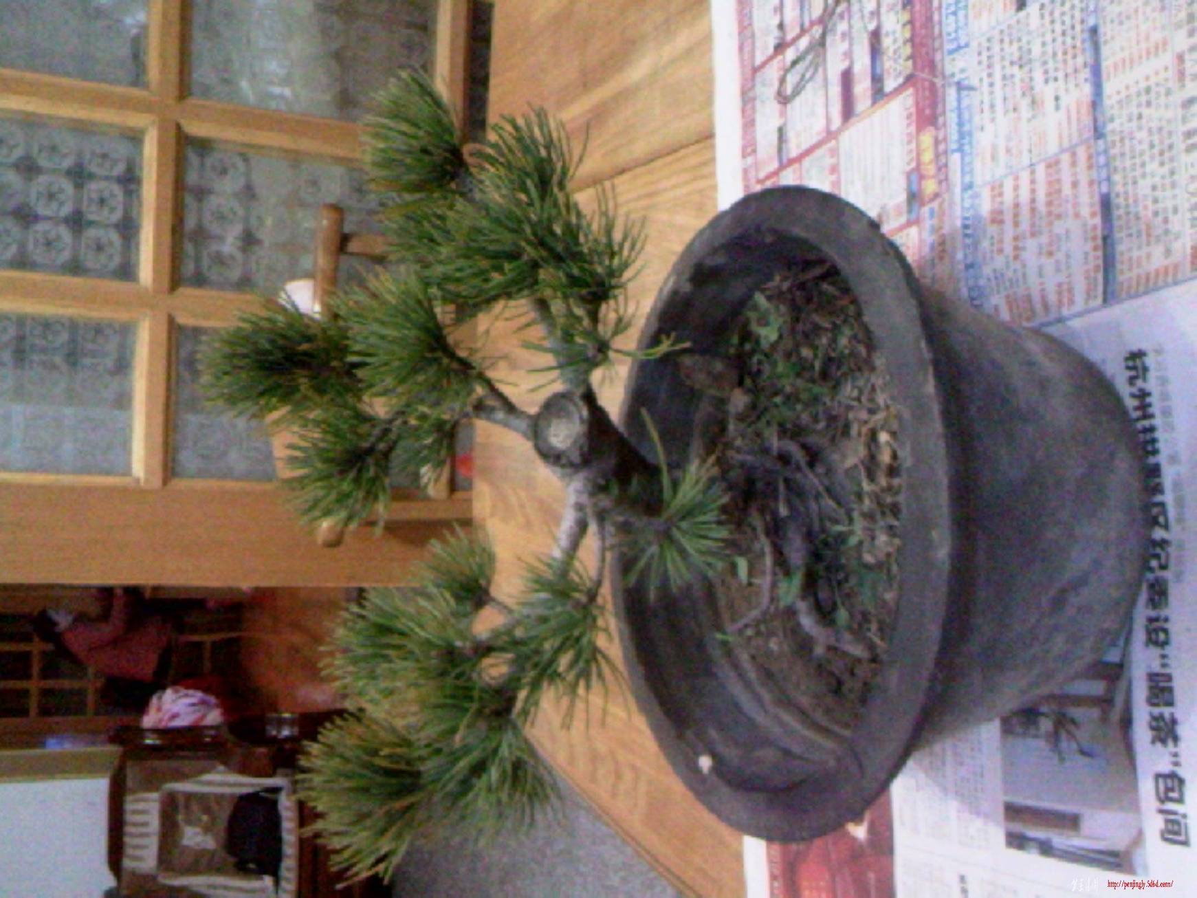 110319A000.jpg