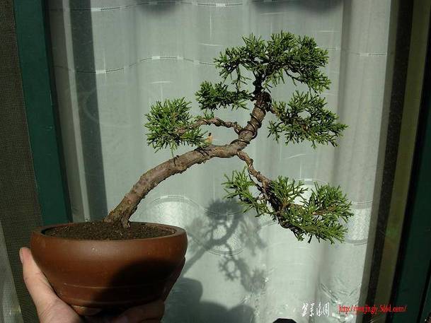 DSCN4229.JPG