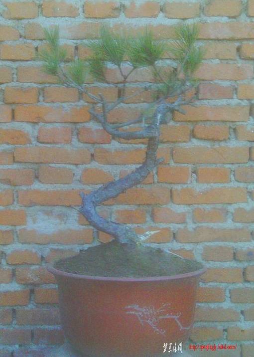 IMAG0017.JPG
