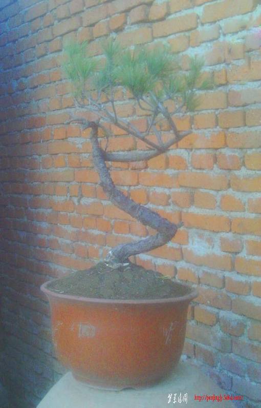 IMAG0014.JPG