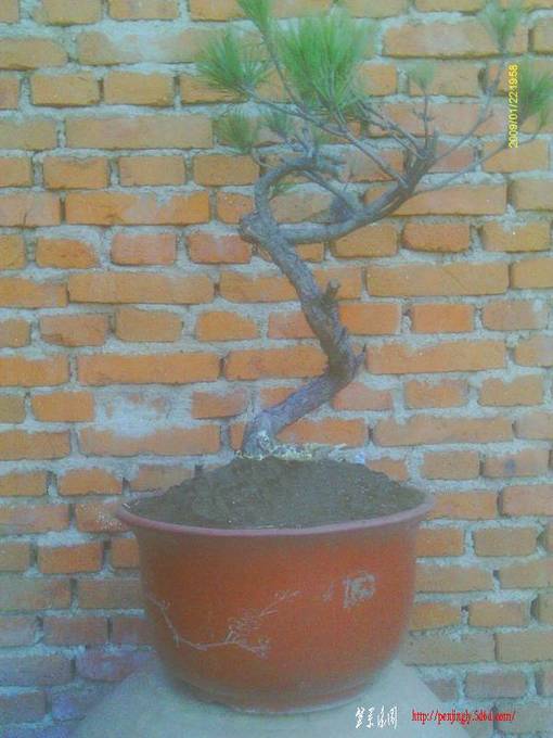 IMAG0015.JPG