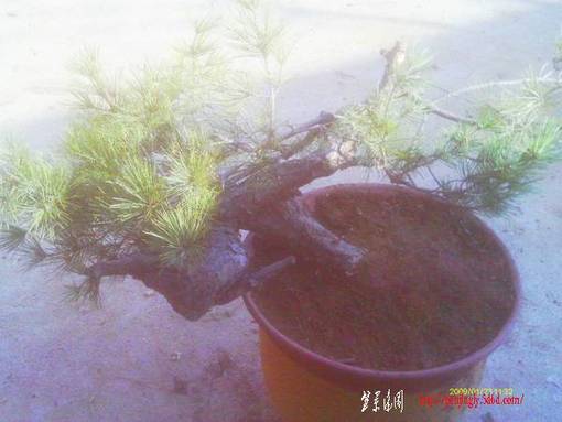IMAG0028.JPG