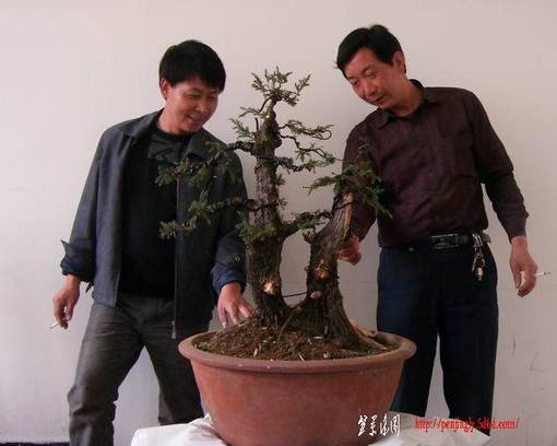 SDC17779.JPG