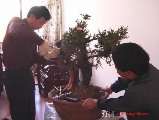 SDC17766.JPG