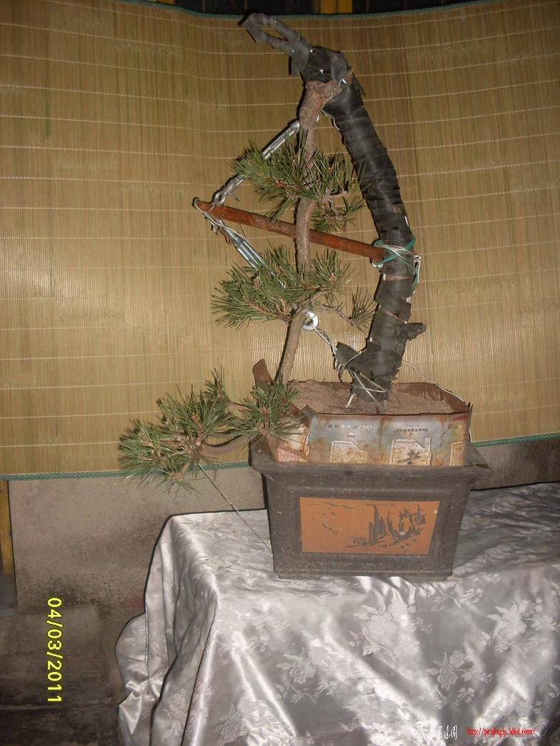 SDC13674.JPG