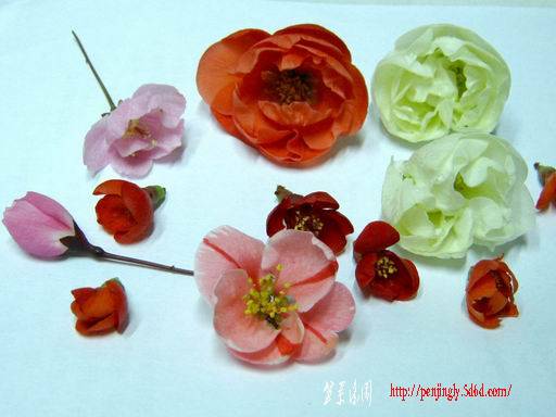 С ع IMG_5048.JPG