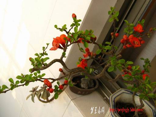 С IMG_5055.JPG