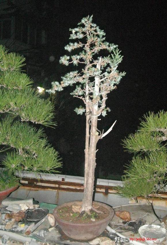 DSCN0422.JPG