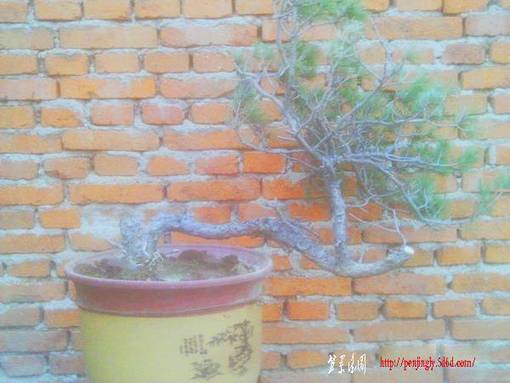 IMAG0039.JPG