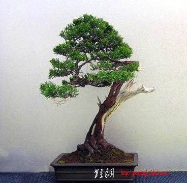 097EKrcqVhQ.jpg