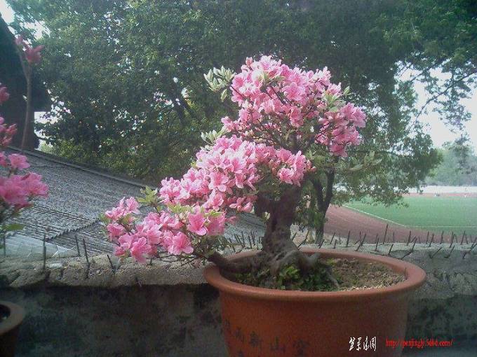 04110750.jpg