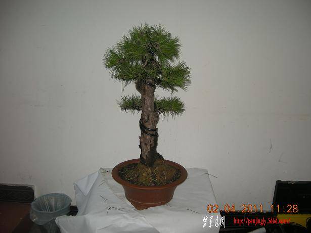 DSCN4309.JPG