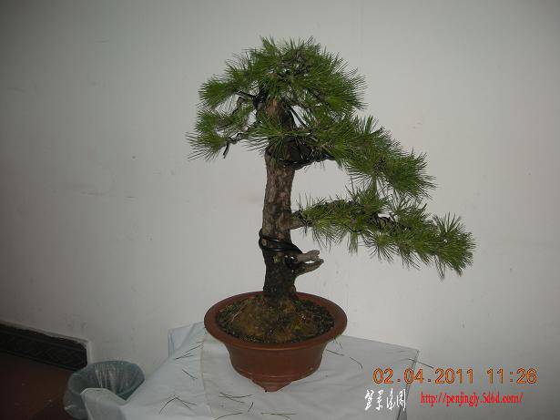 DSCN4304.JPG