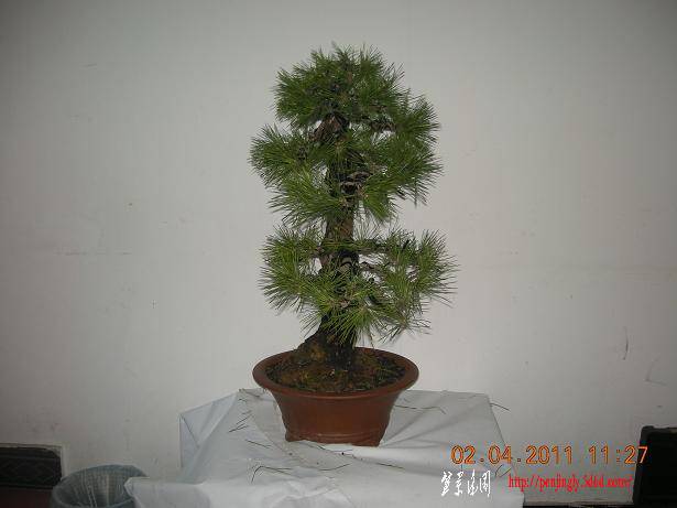 DSCN4305.JPG