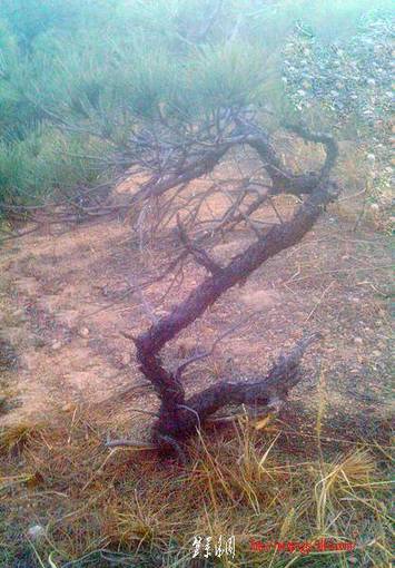 IMAG0023.JPG